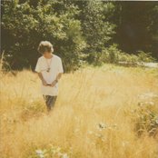 Hibou - List pictures