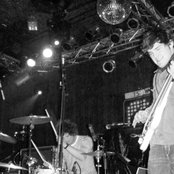 For The Foxes - List pictures