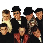 Madness - List pictures