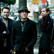 The Wallflowers - List pictures