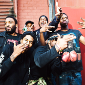 A$ap Ant - List pictures