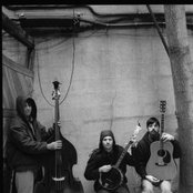 Avett Brothers - List pictures