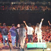 Gondwana - List pictures