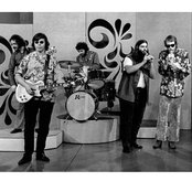 Canned Heat - List pictures
