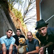 Alien Ant Farm - List pictures