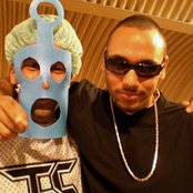 B-tight - List pictures