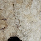 Little Red - List pictures