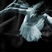 Polica - List pictures