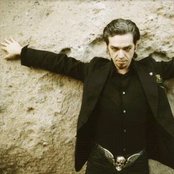 Morgan - List pictures