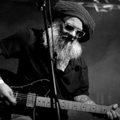 Jaya The Cat - List pictures