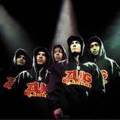 Zug Izland - List pictures