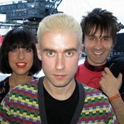 Zoot Woman - List pictures