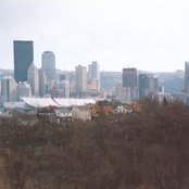 Tobacco - List pictures