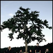 The Panic Division - List pictures