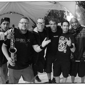 Dog Eat Dog - List pictures