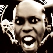 Skunk Anansie - List pictures