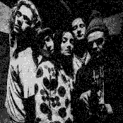 Pop Will Eat Itself - List pictures