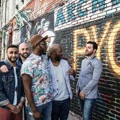 Bad Rabbits - List pictures