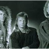 Zebra - List pictures