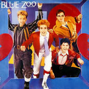Blue Zoo - List pictures