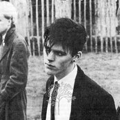 And Also The Trees - List pictures