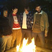 Miniature Tigers - List pictures