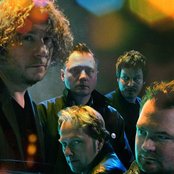 Weeping Willows - List pictures