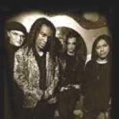 Black Sheep - List pictures