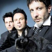Mercury Rev - List pictures