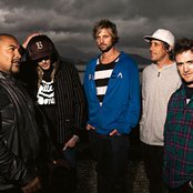 Shapeshifter - List pictures