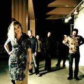 Pale Forest - List pictures