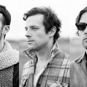 Plants And Animals - List pictures