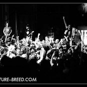 New Found Glory - List pictures