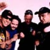 Raimundos - List pictures