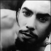 Dave Navarro - List pictures