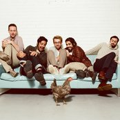 Young The Giant - List pictures