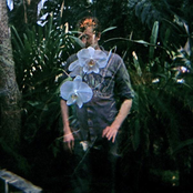 D.m. Stith - List pictures