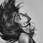 Kitten - List pictures