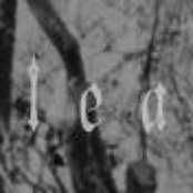 Bleak - List pictures