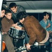 Ornatos Violeta - List pictures