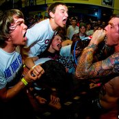 50 Lions - List pictures