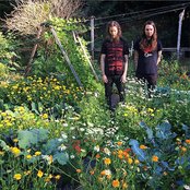 Sumac - List pictures