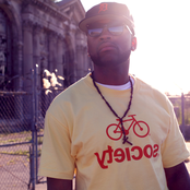 Young Scolla - List pictures