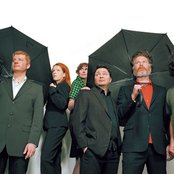 New Pornographers - List pictures