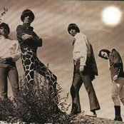 Seeds - List pictures