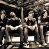 The Wallflowers - List pictures