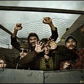 Dead Confederate - List pictures