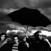 Ride - List pictures