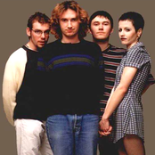 Cranberries - List pictures