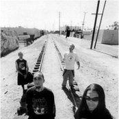 Bad Acid Trip - List pictures